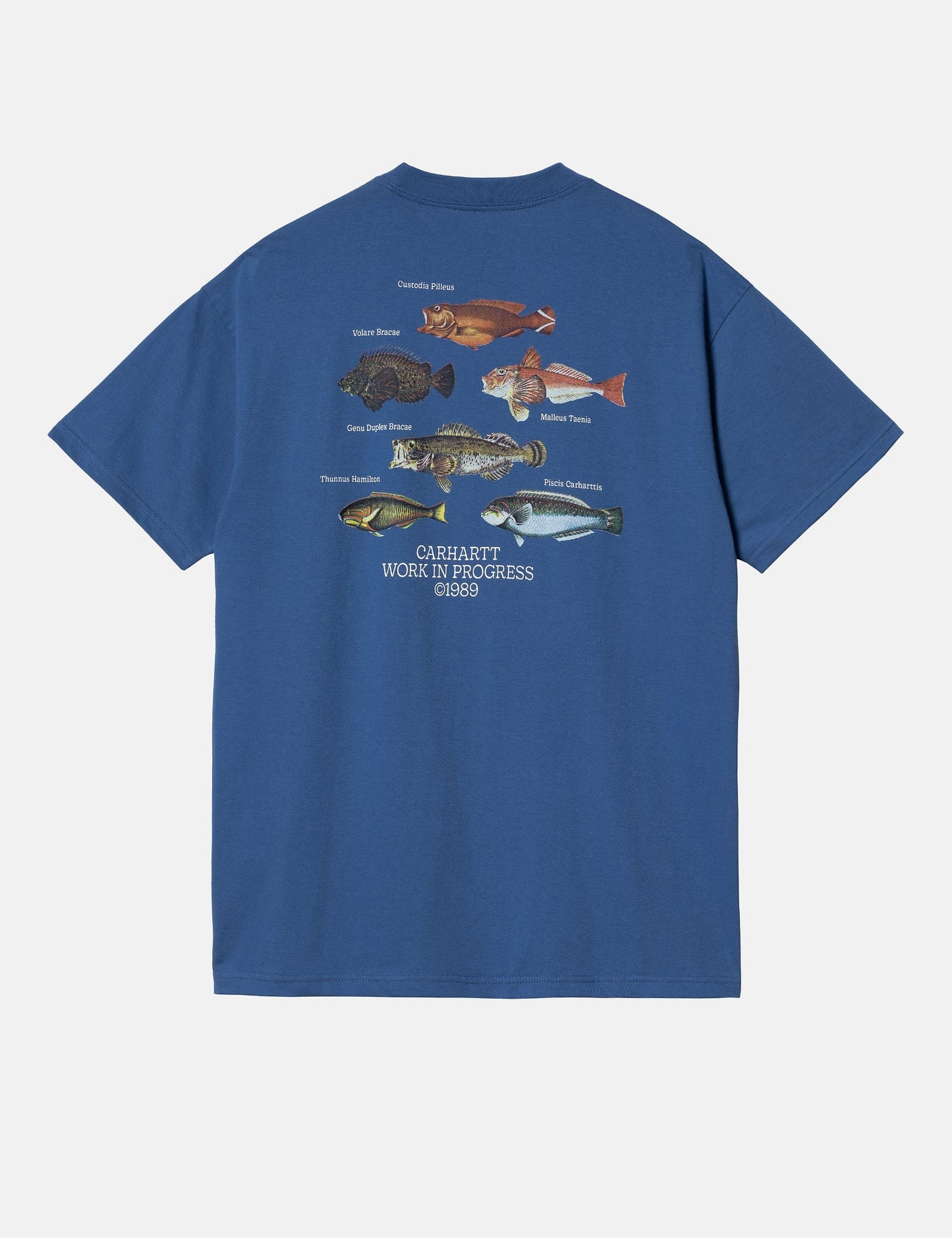 Fish T-Shirt (Loose) - Acapulco Blue